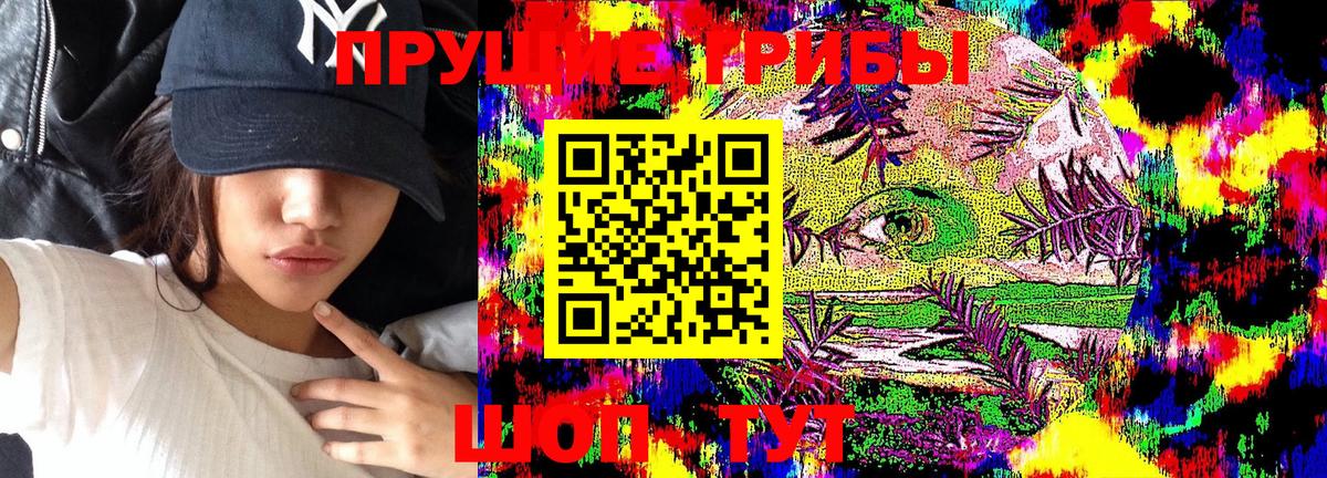 Галлюциногенные грибы Cubensis  Галлюциногенные грибы GOLDEN TEACHER  Вход с VPN  Сухой Лог 